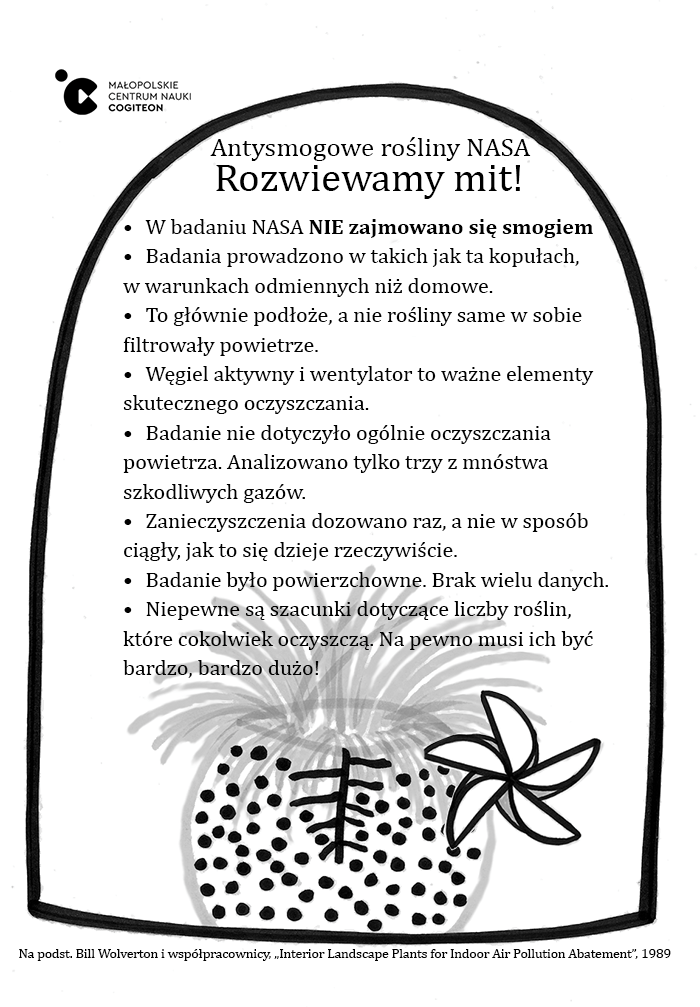 Rośliny antysmogowe NASA