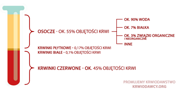 Krwinki