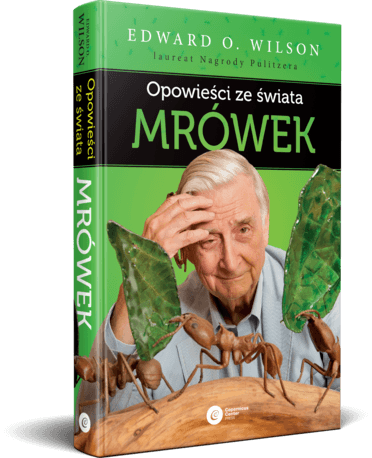 Mrówka