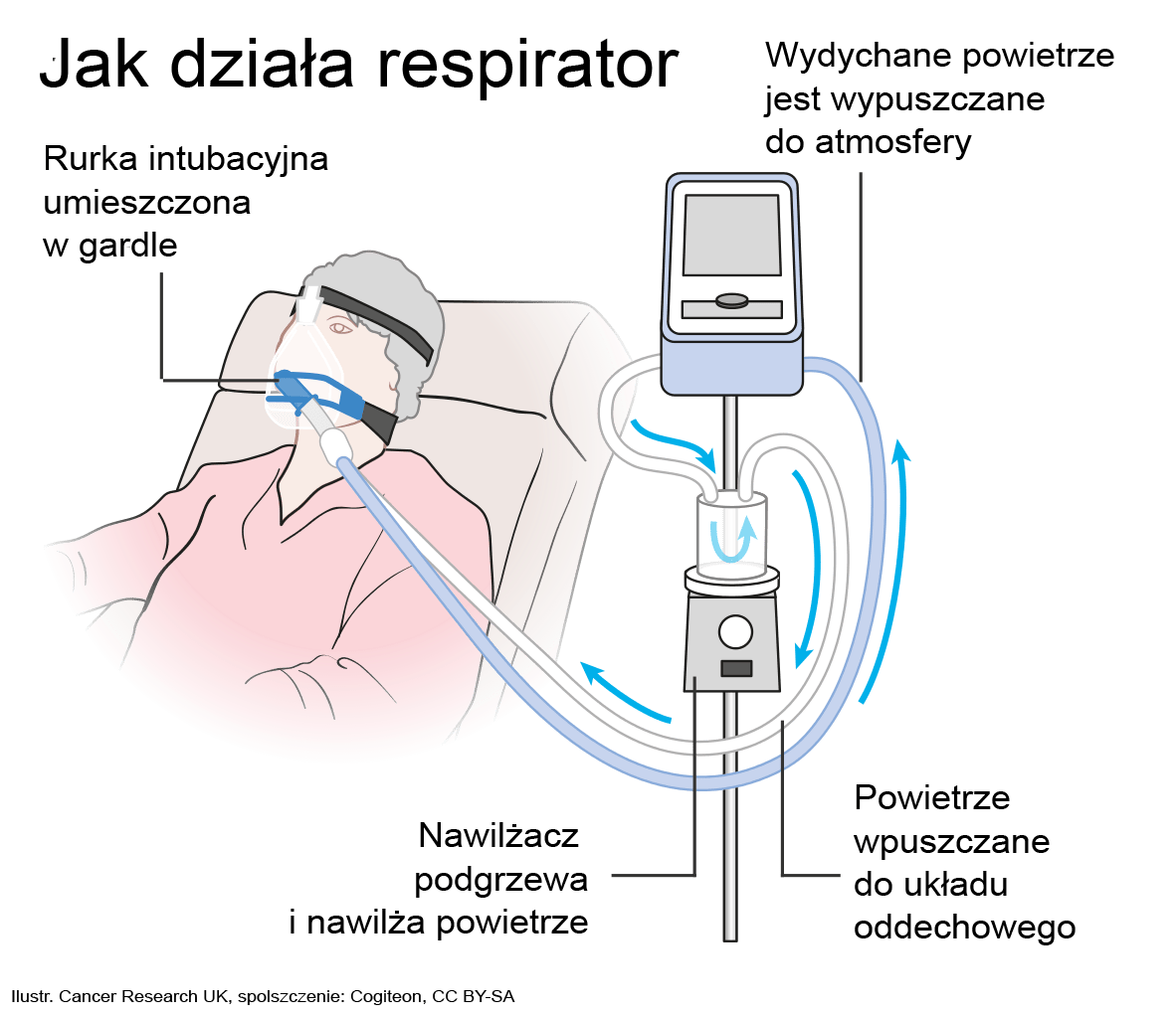 Respirator