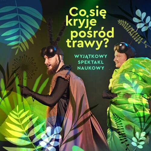 Grafika otwarcie Cogiteonu