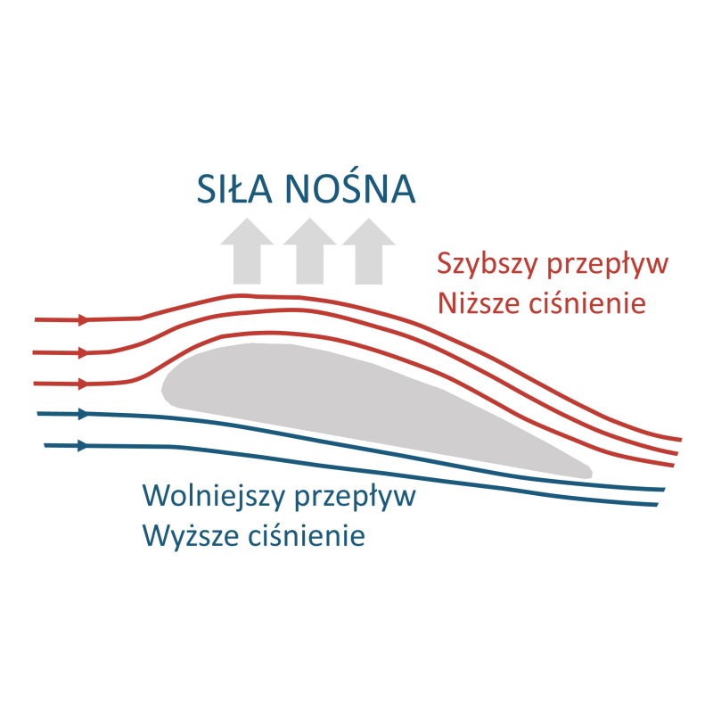 zdjęcie kamiennego narzędzia